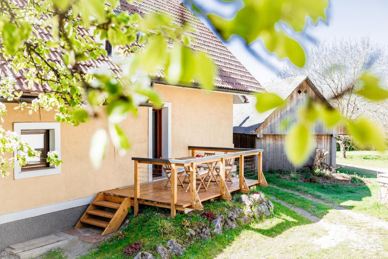 Mama Mia Apartments Radovljica Esterno foto